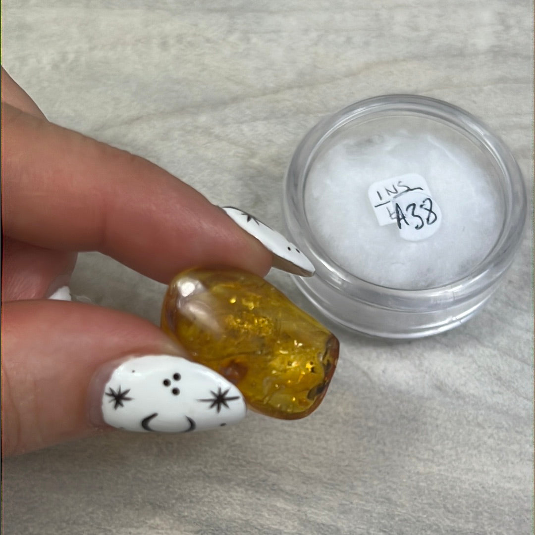 Amber Insect Specimen