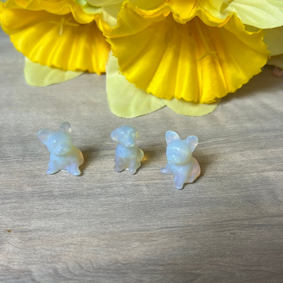 Mini Opalite dog / pug