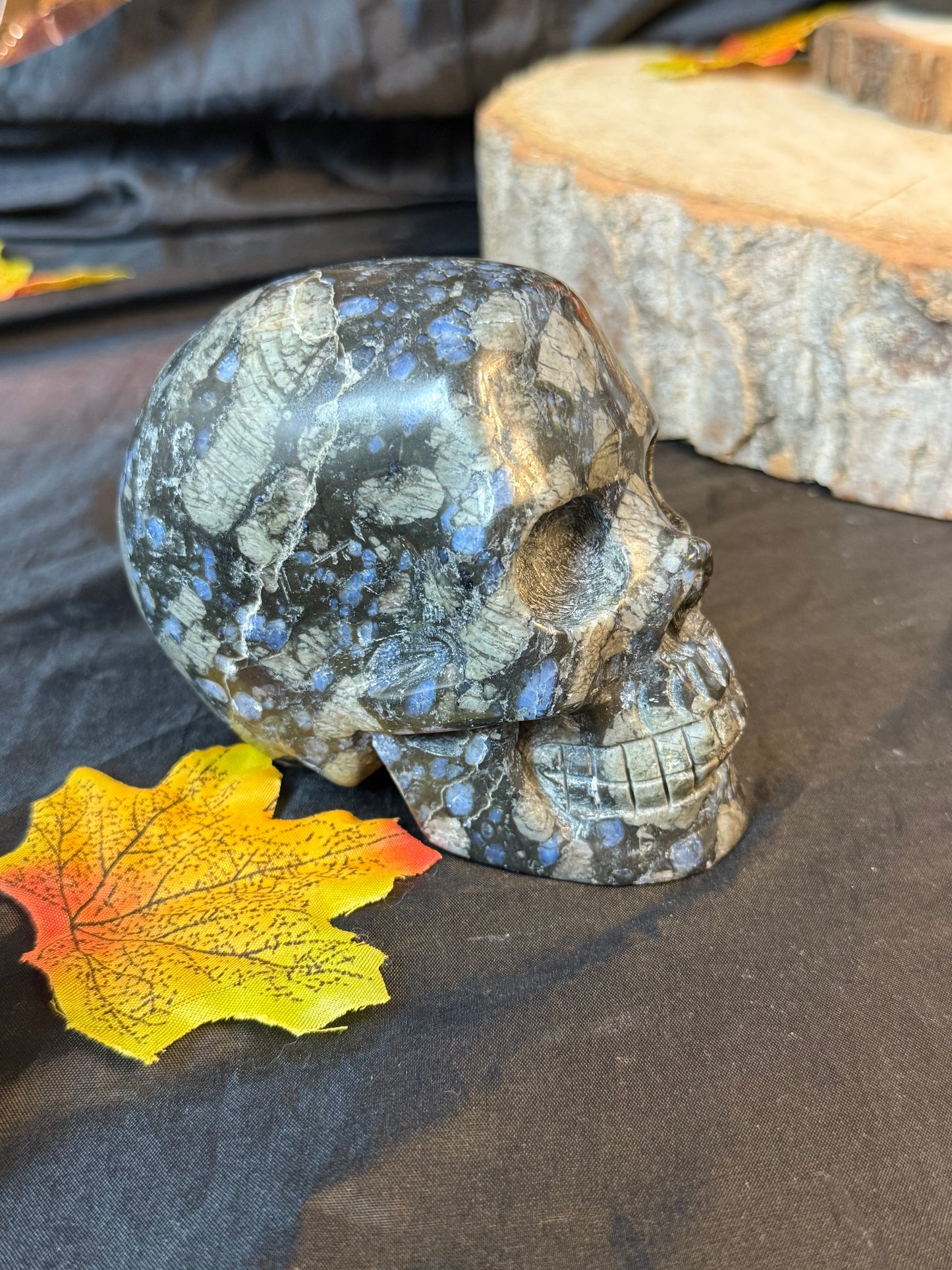 Que Sera Skull