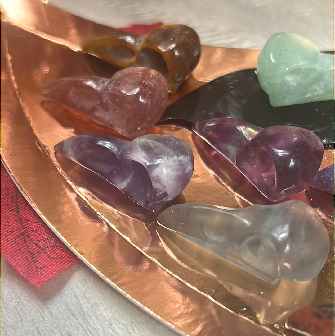 Mystery Baby Skull - Bird Crow Raven