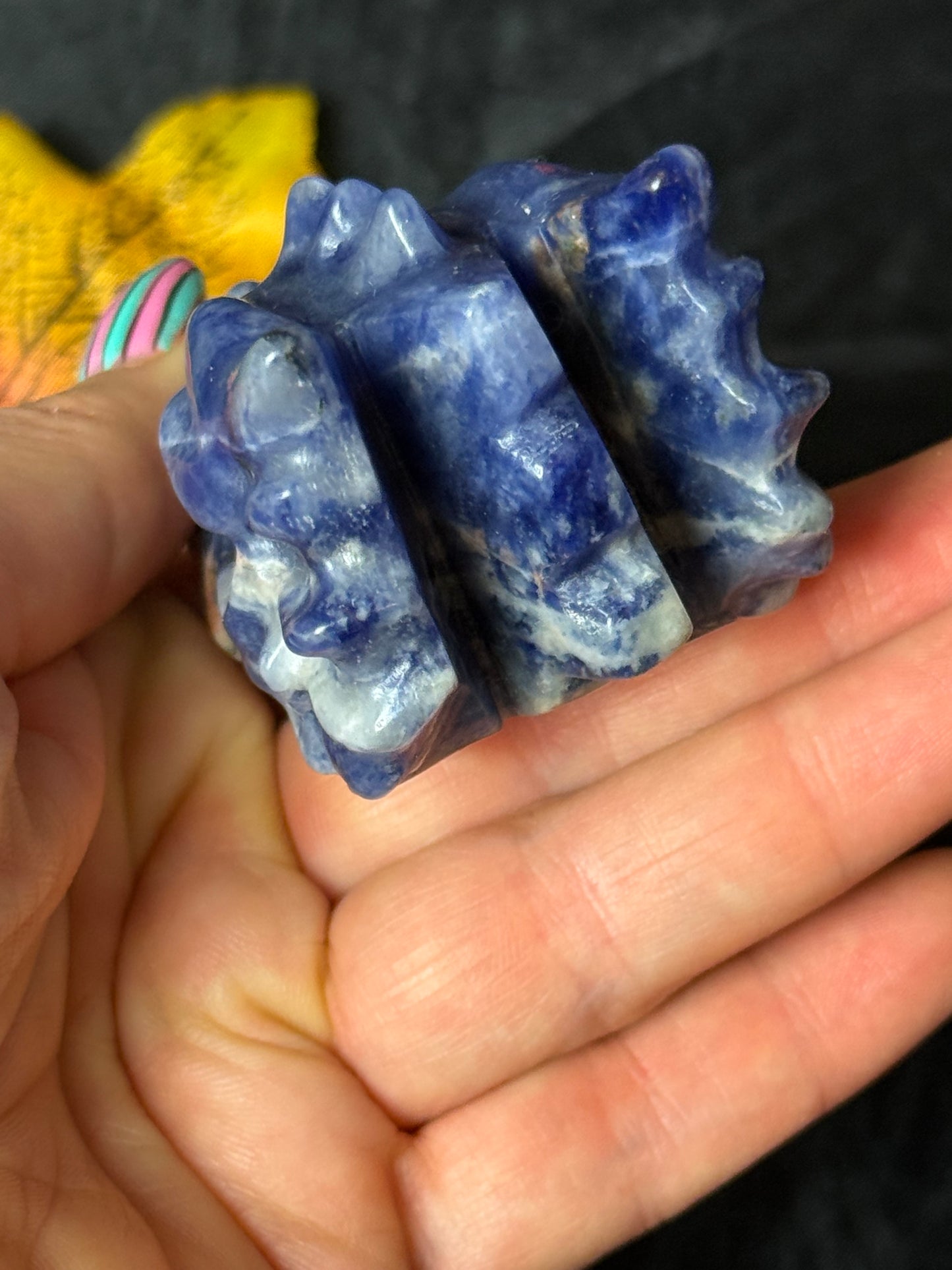 Sodalite Dragon