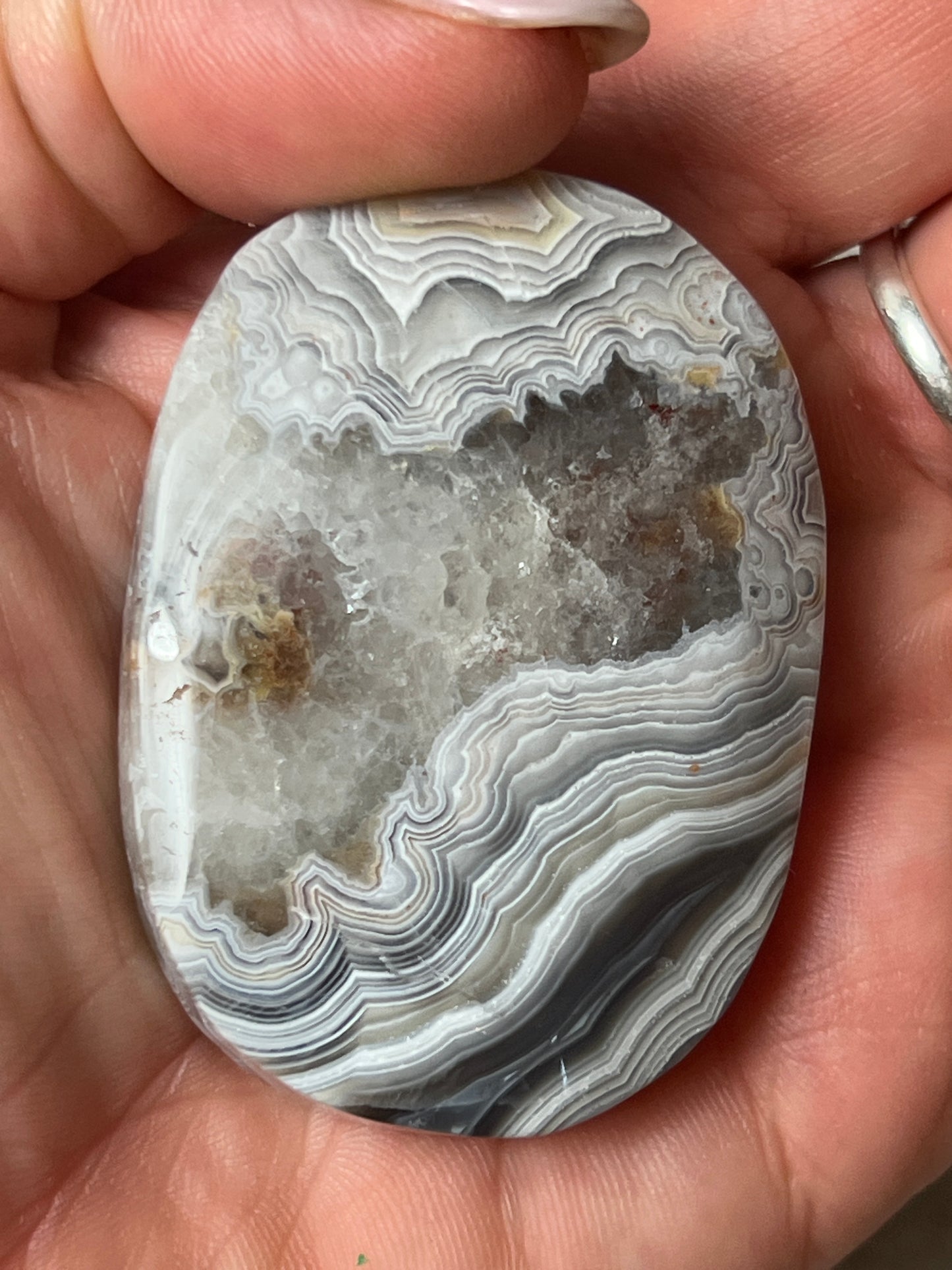 Mexican Crazy Agate Palm