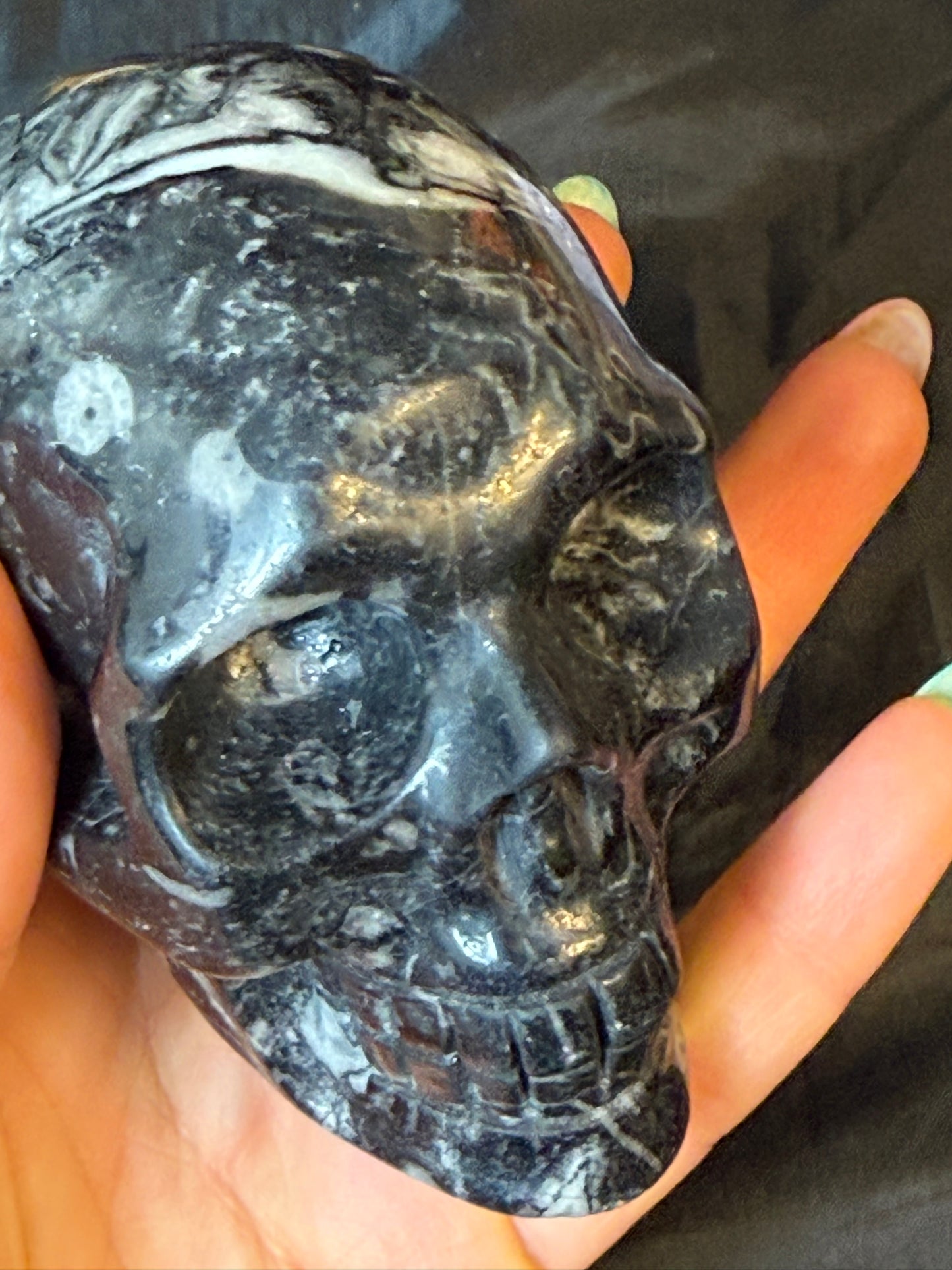 Black Shell Stone Skull