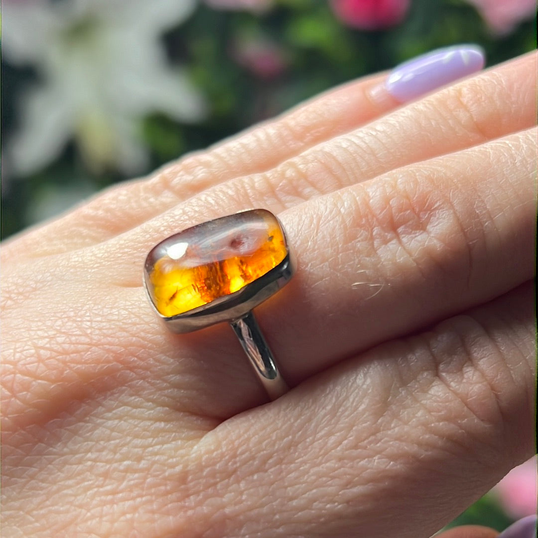 Amber 925 Sterling Silver Ring -  Size O