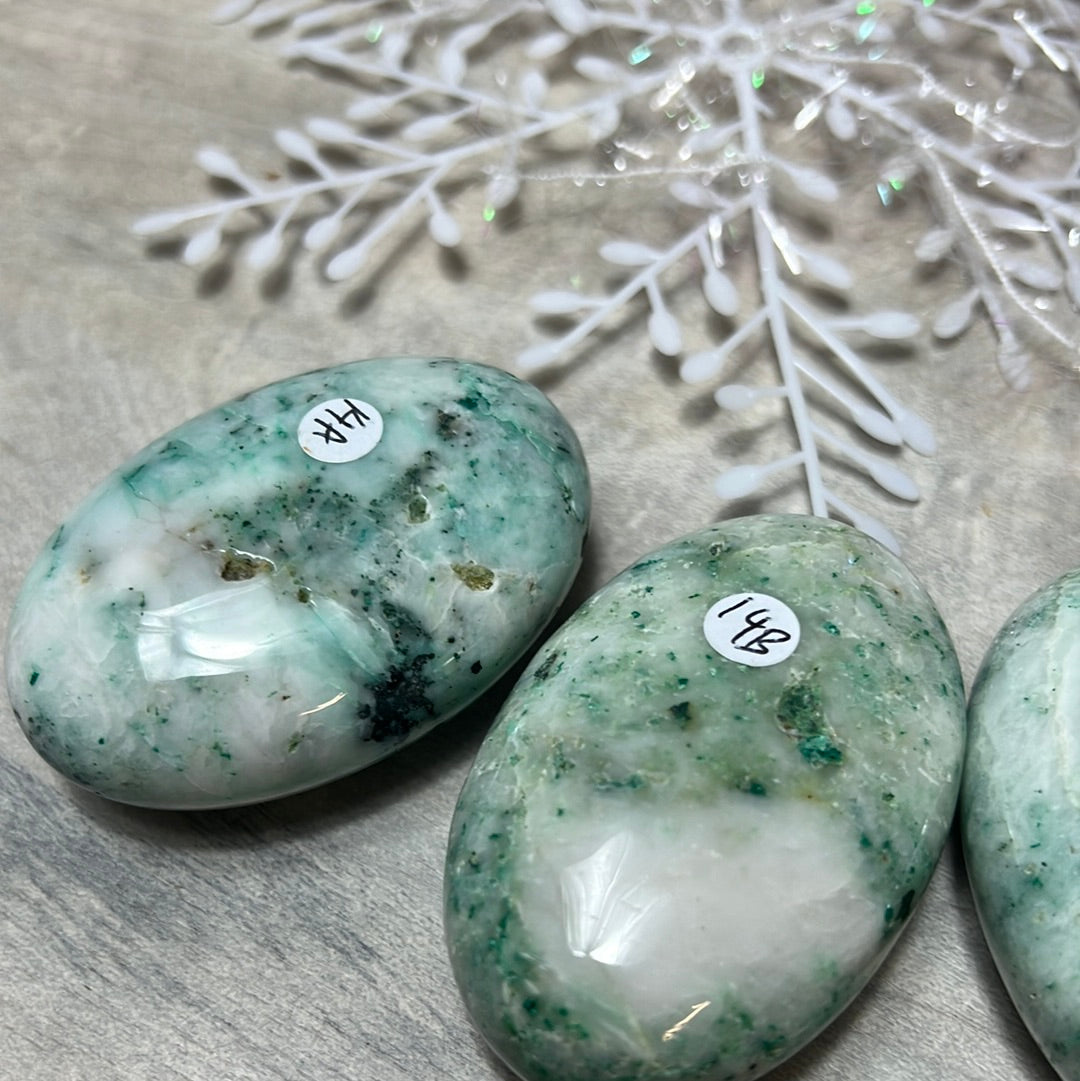 Phoenix Pine Fynechenite Palm