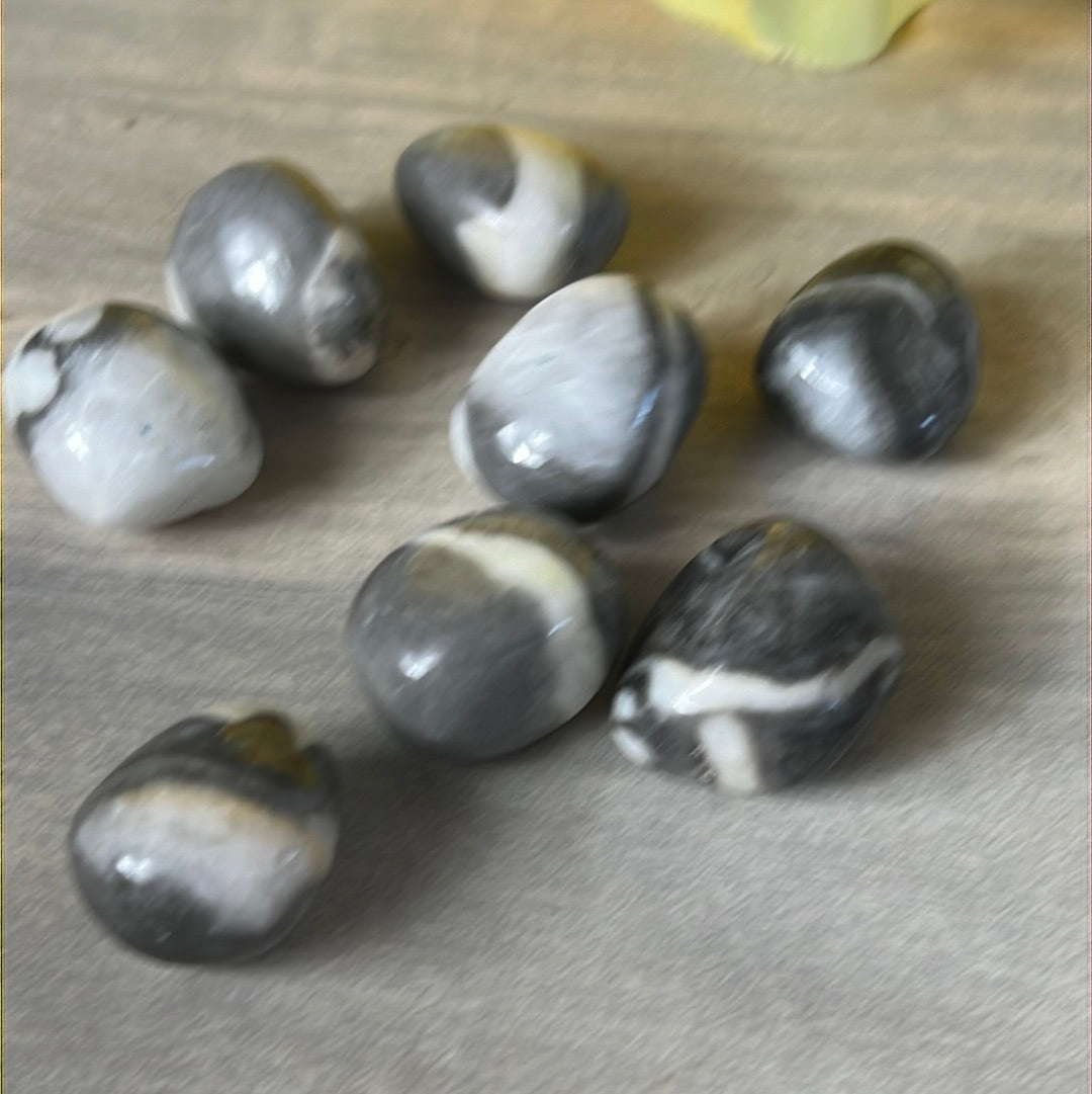 Thousand Eye / Shell Jasper Tumble Tumblestone