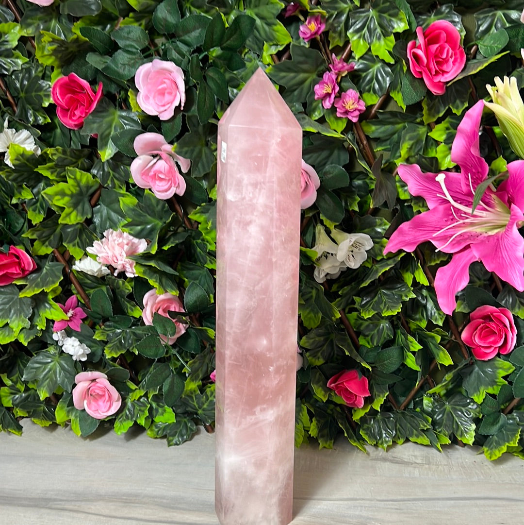 Rose Quartz XL Tower Point 5.6KG
