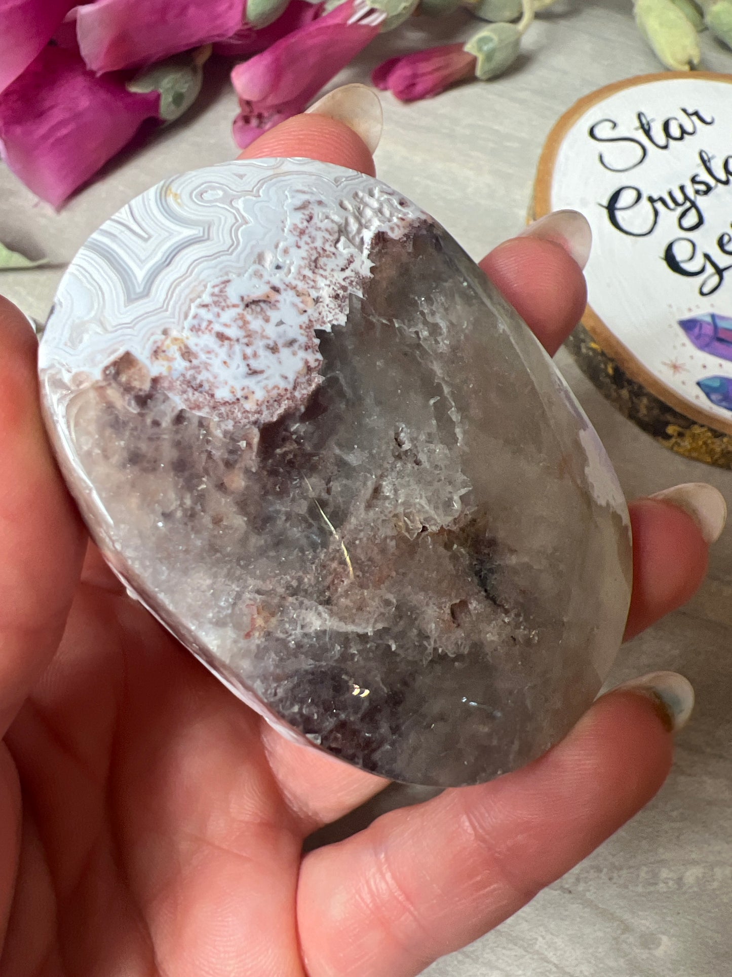 Mexican Crazy Agate Palm