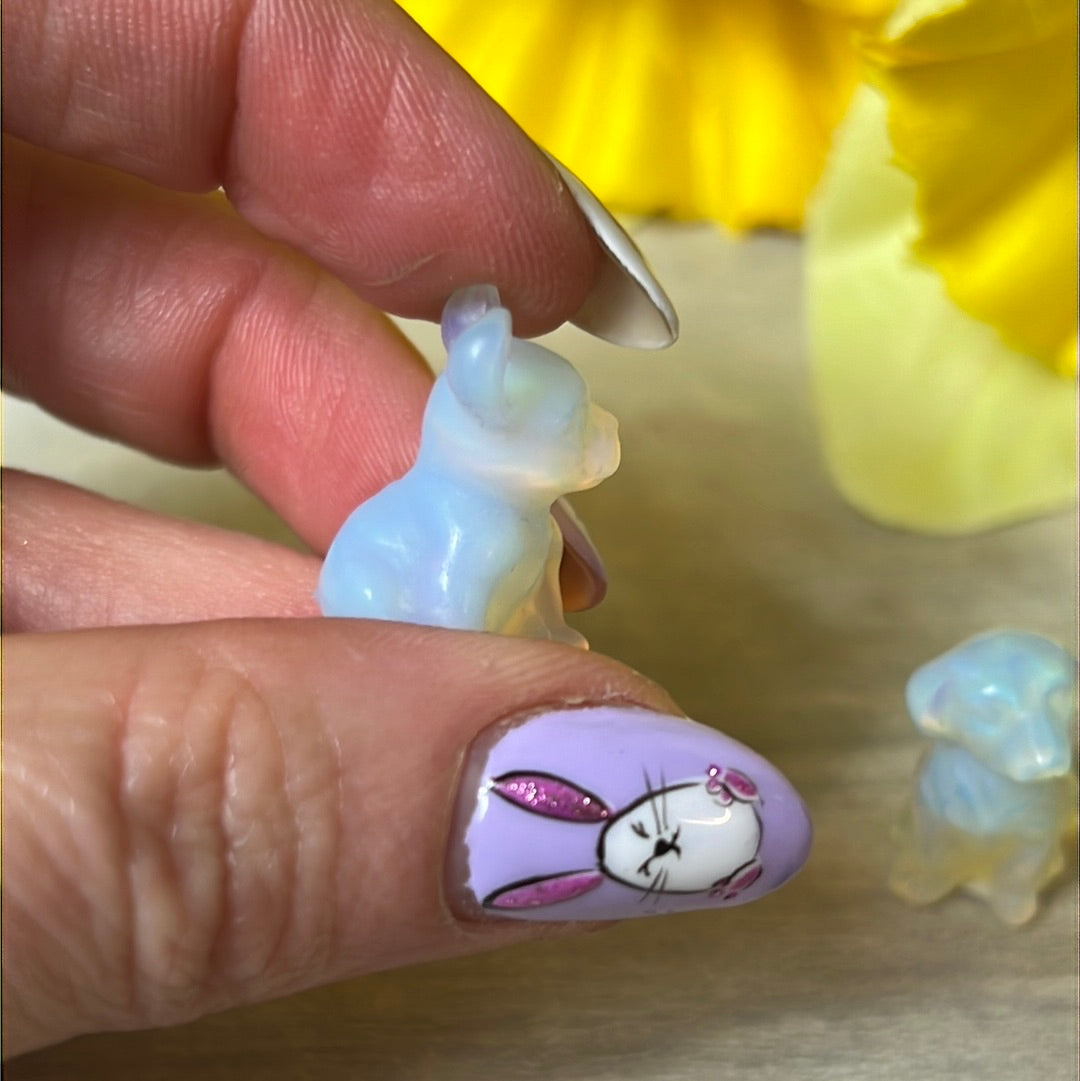 Mini Opalite dog / pug