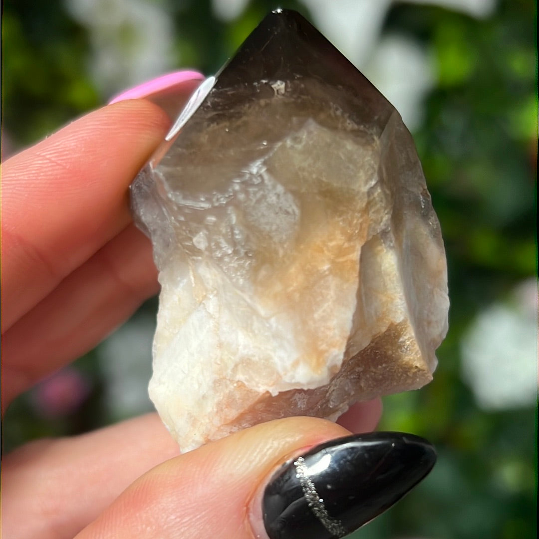 Root of Transformation