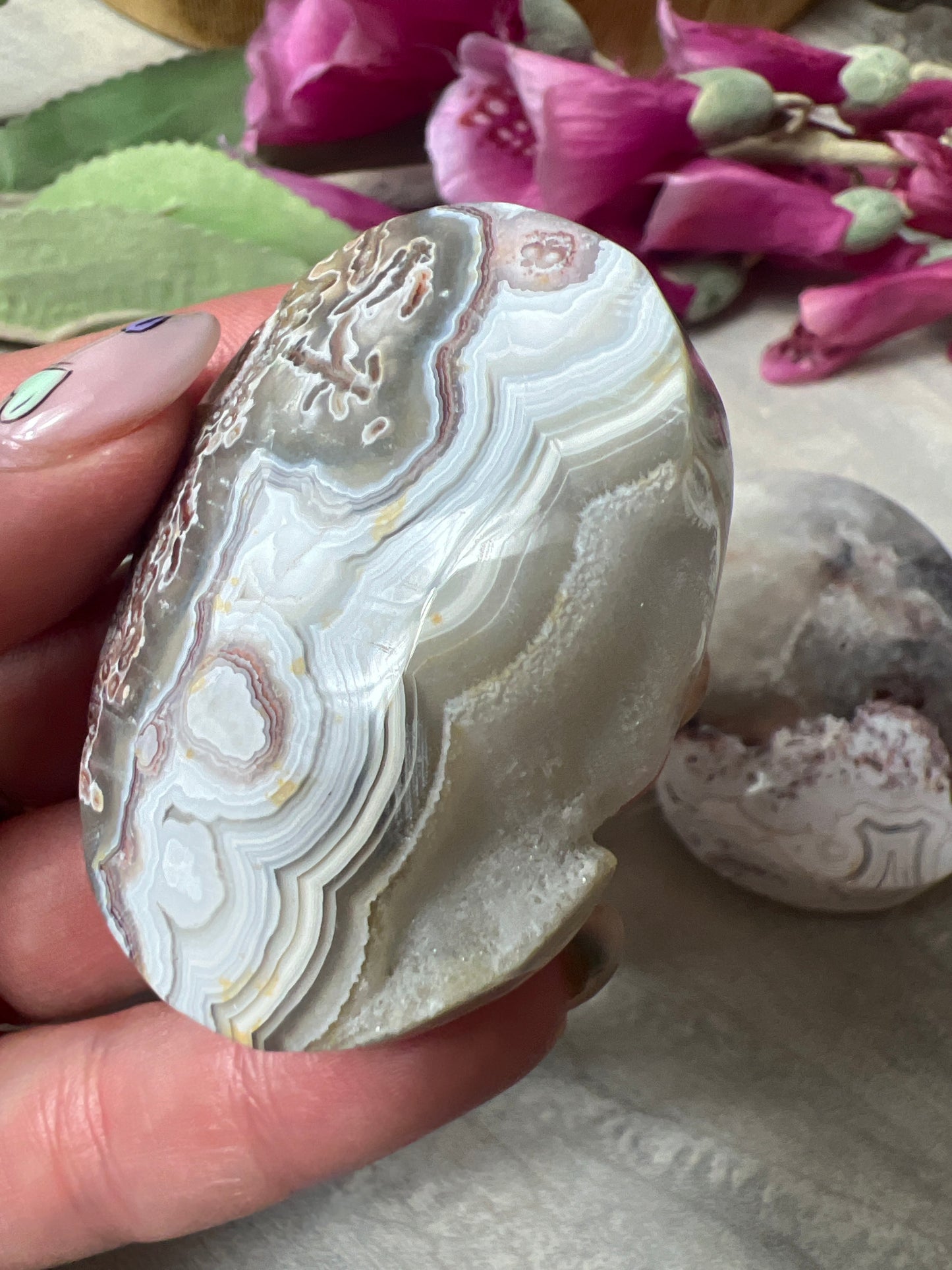 Mexican Crazy Agate Palm