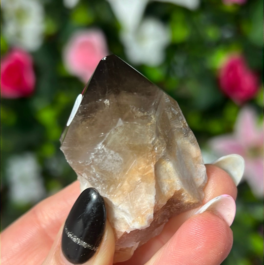 Root of Transformation