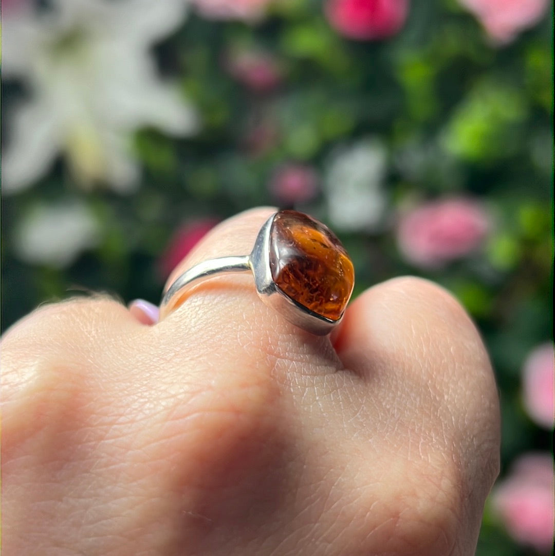 Amber 925 Sterling Silver Ring -  Size O