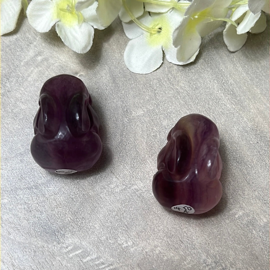 Fluorite Rabbit Bunny