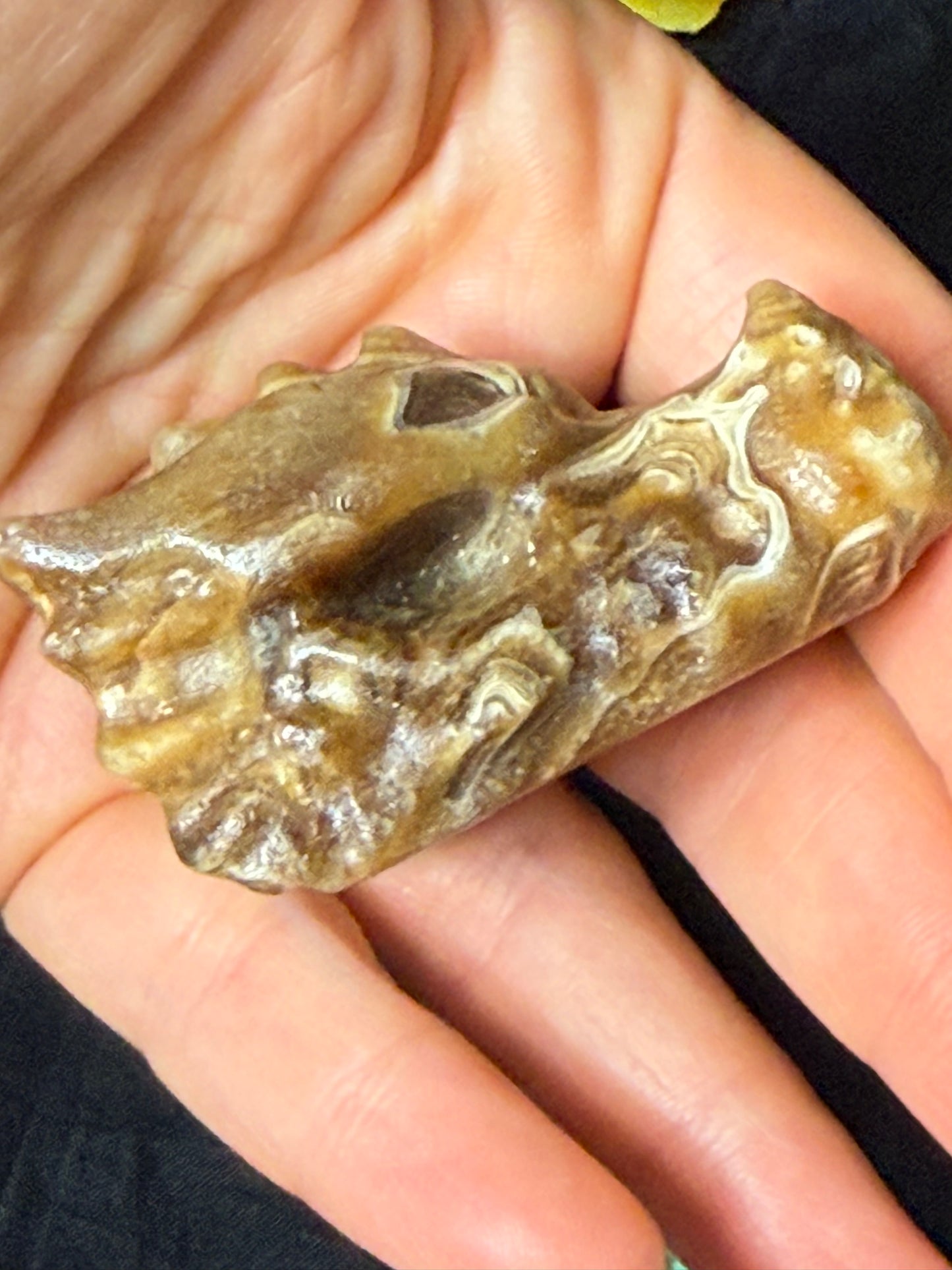 Honey Calcite Dragon