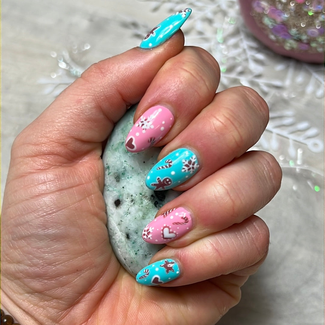 Phoenix Pine Fynechenite Palm