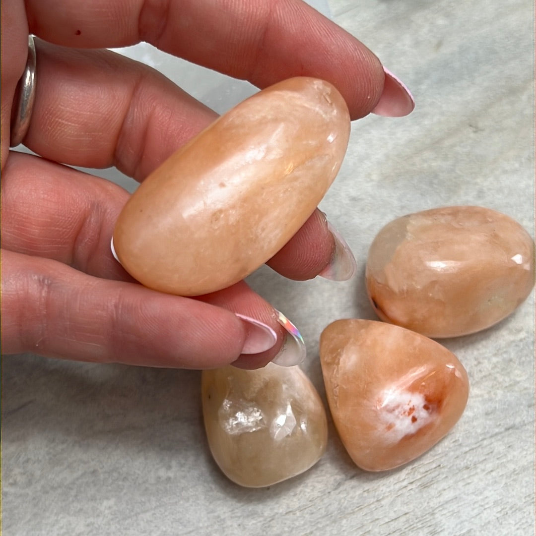 XL Stillbite Tumble Tumblestone