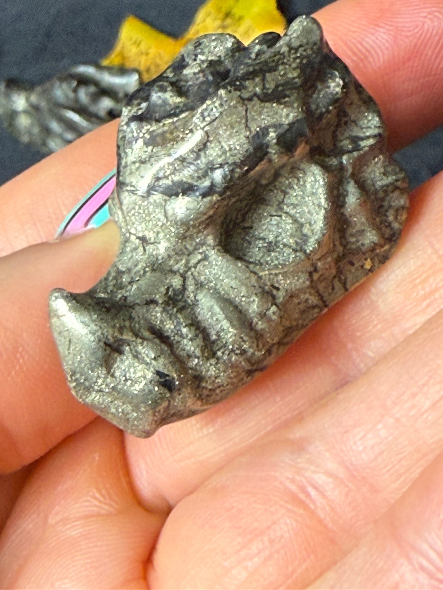 Pyrite Dragon