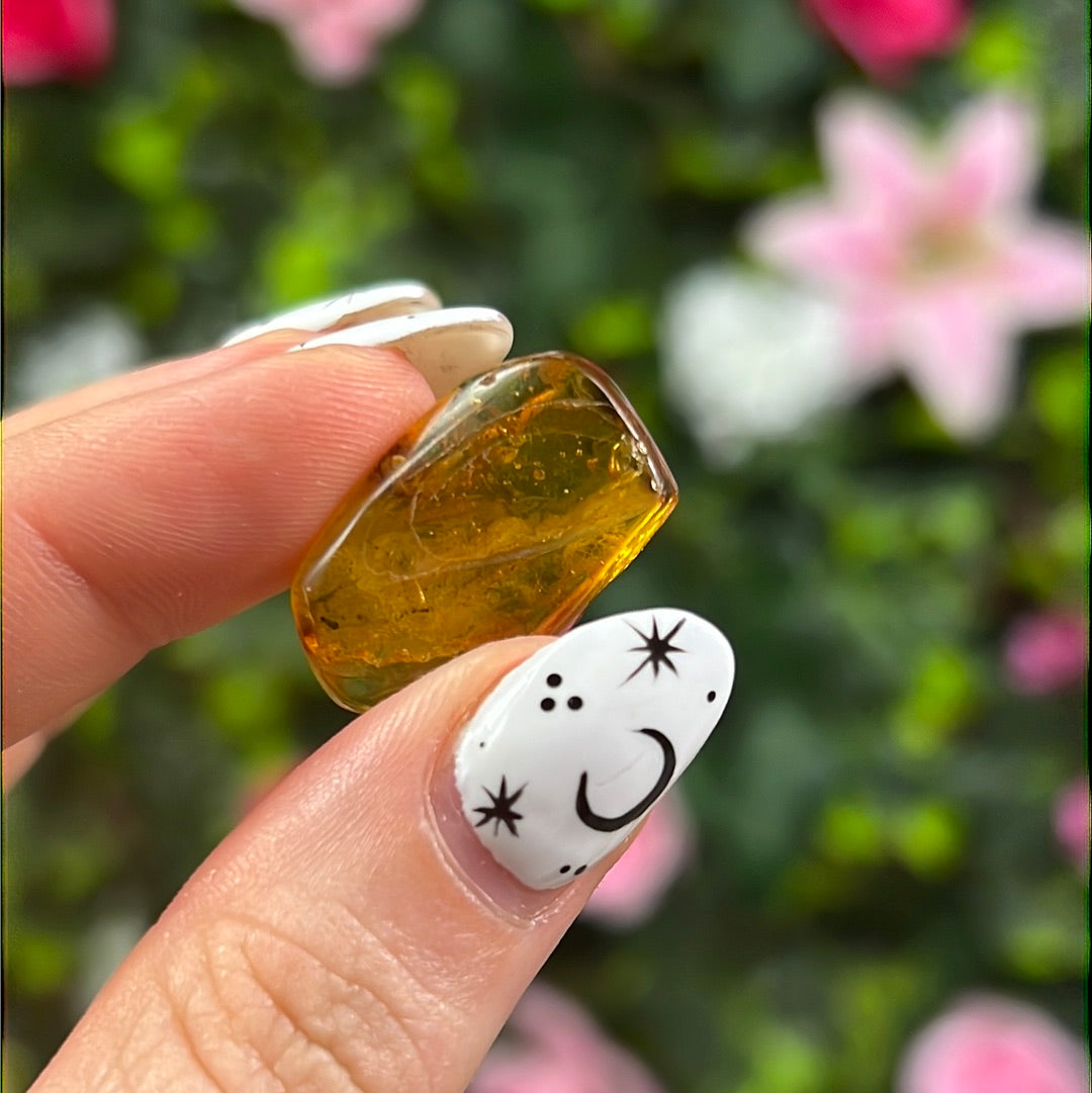 Amber Insect Specimen