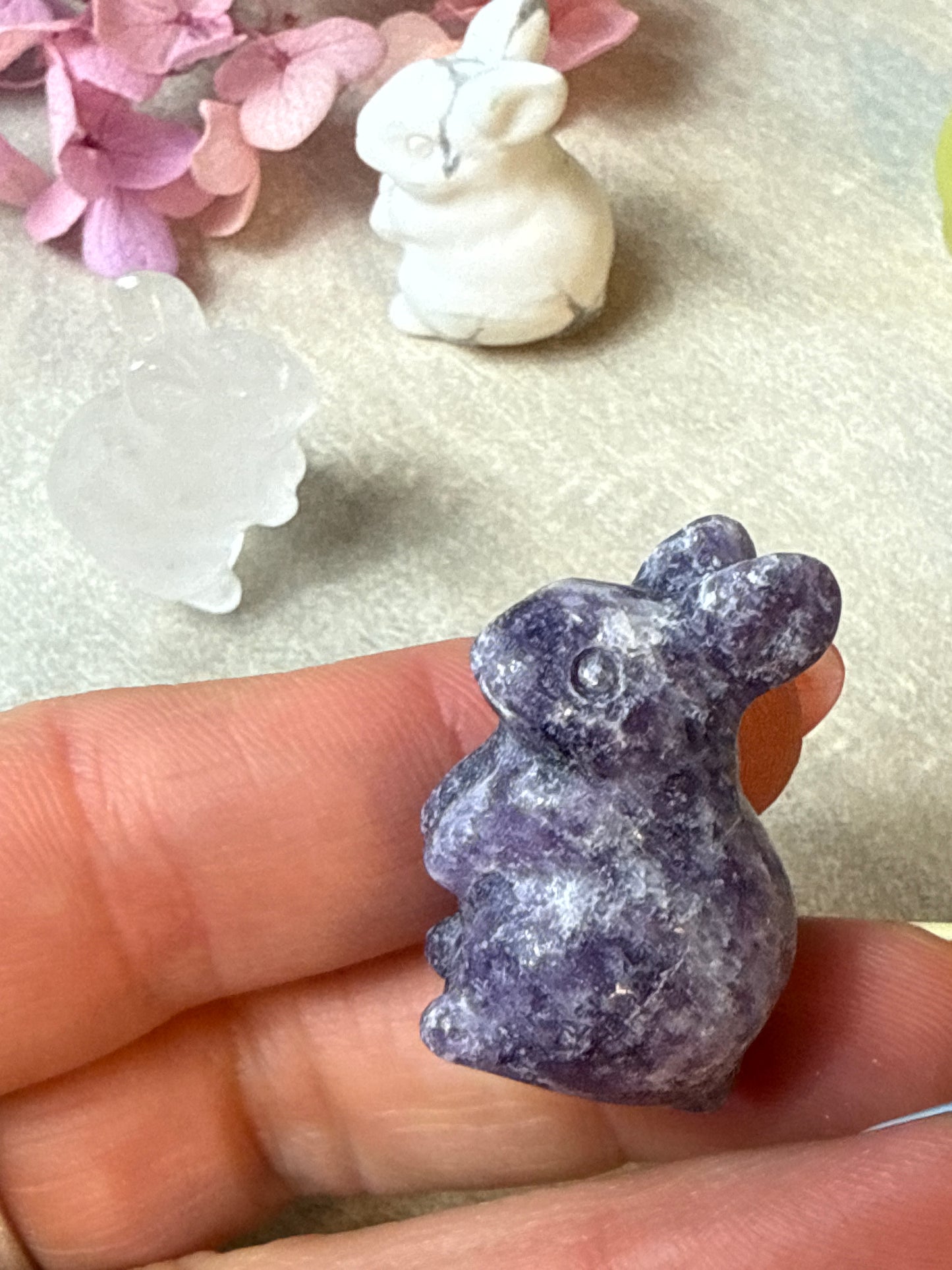 Sitting Rabbit Hare Bunny