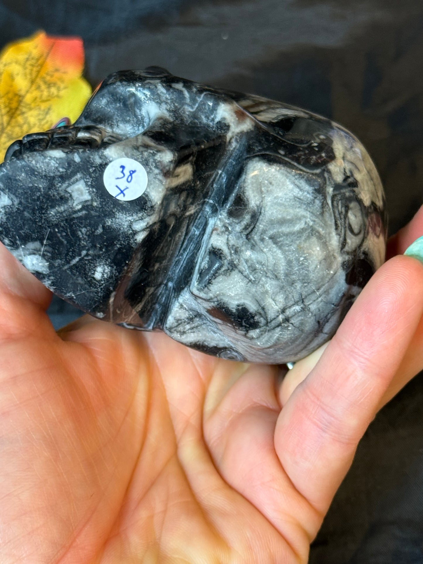 Black Shell Stone Skull
