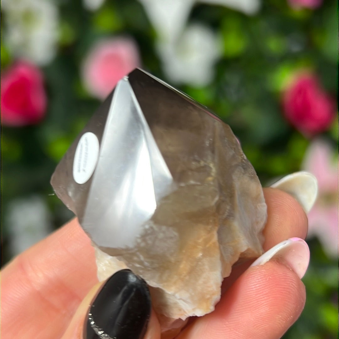 Root of Transformation