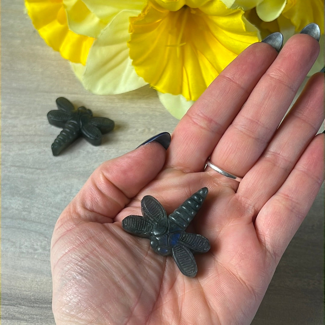 Lab Labradorite Dragonfly