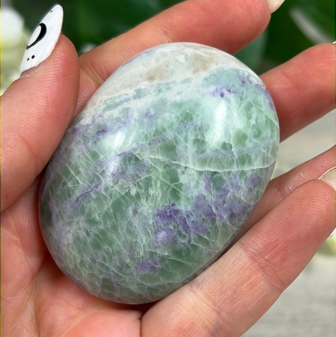 Bolivianite Palm