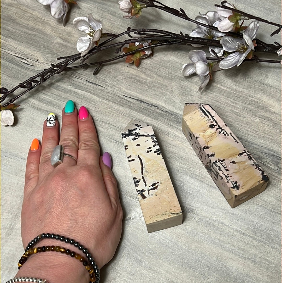 Picture Jasper Obelisk Tower Point