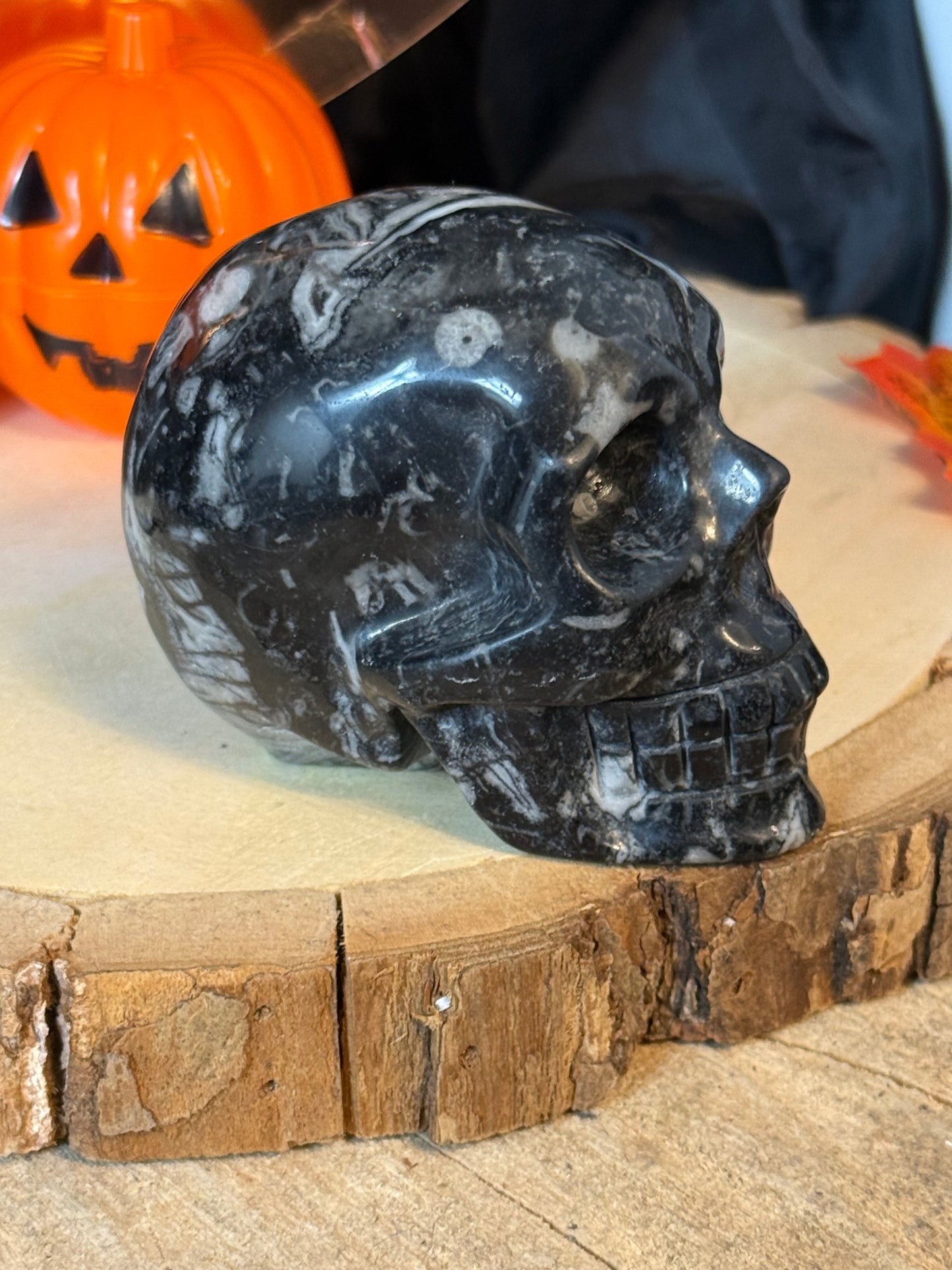 Black Shell Stone Skull