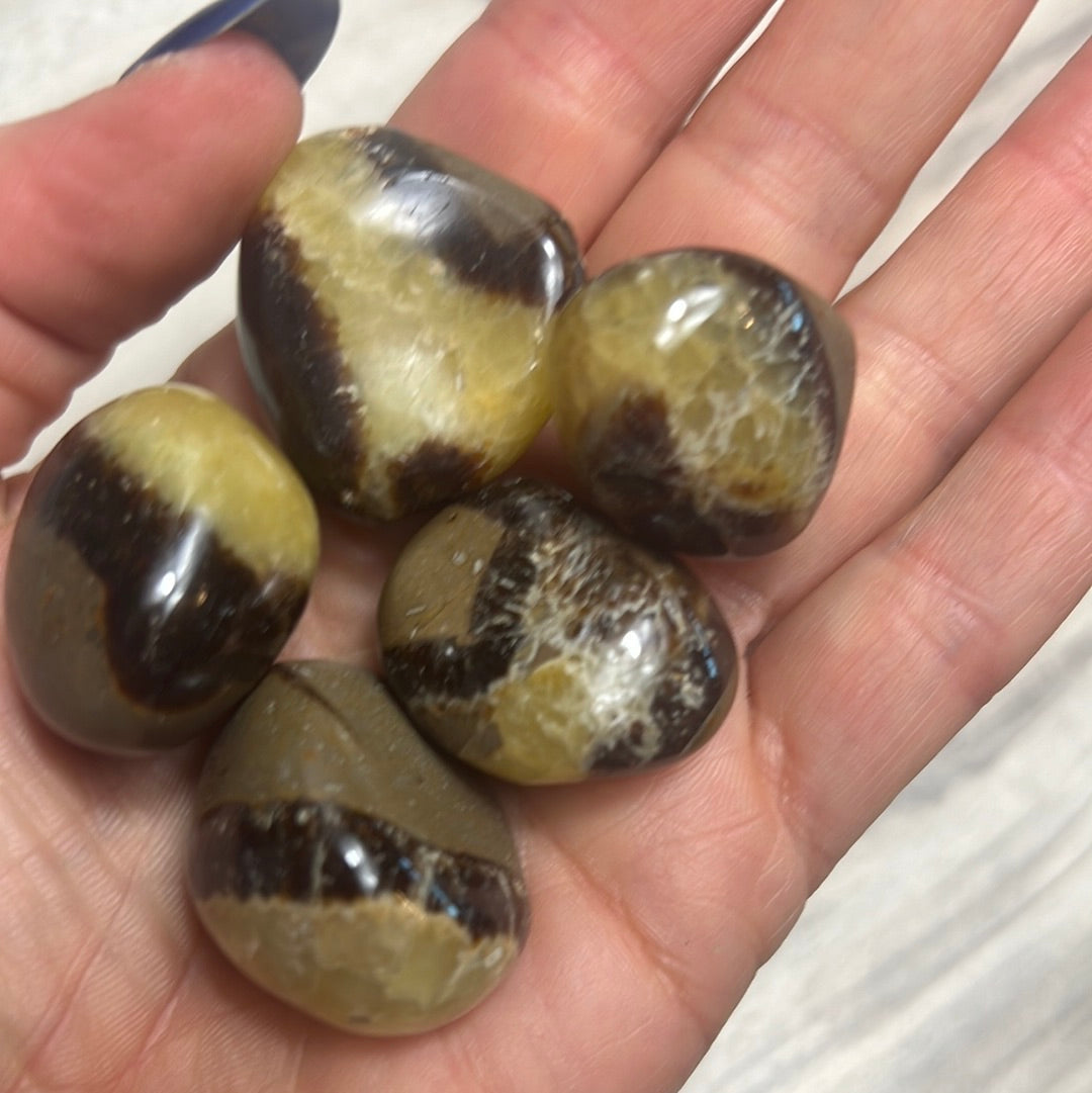 Septarian Tumble Tumblestone