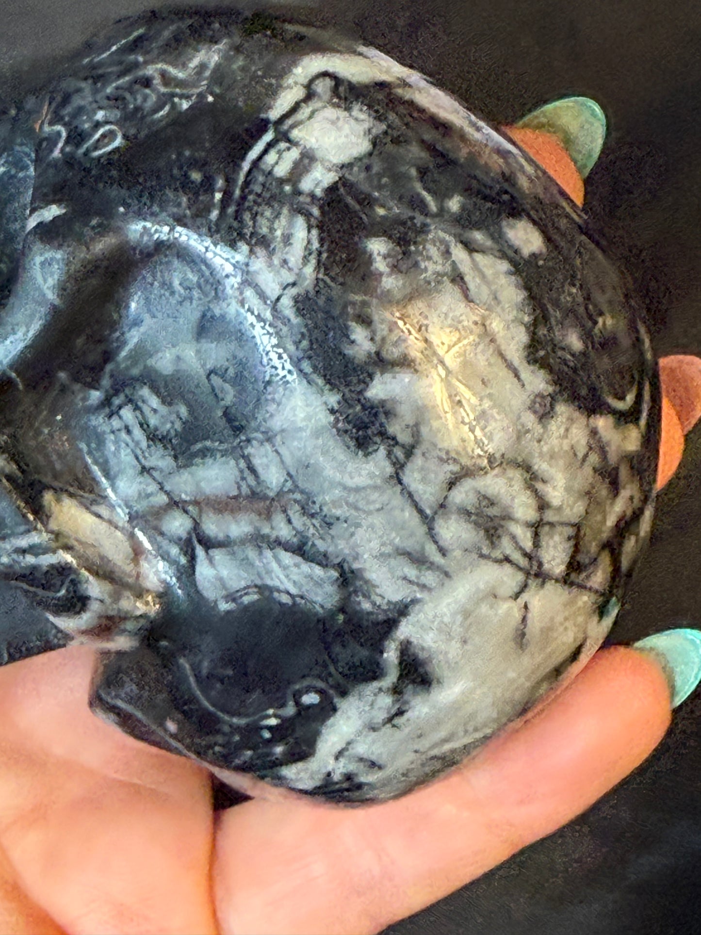 Black Shell Stone Skull