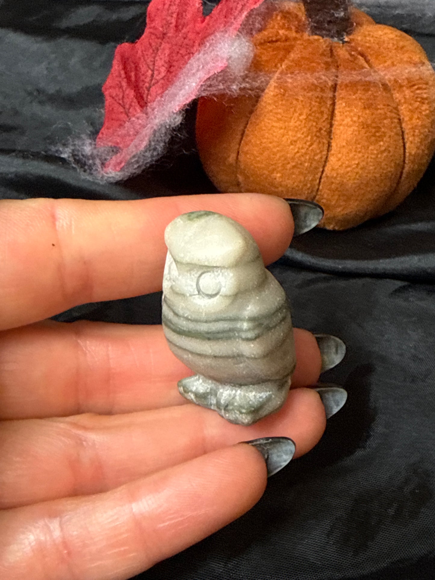 Net jasper Owl