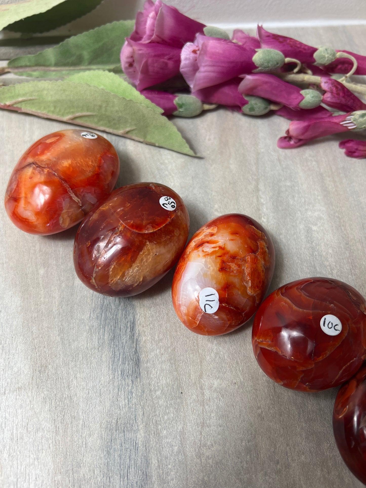 Stunning Large Carnelian Palm