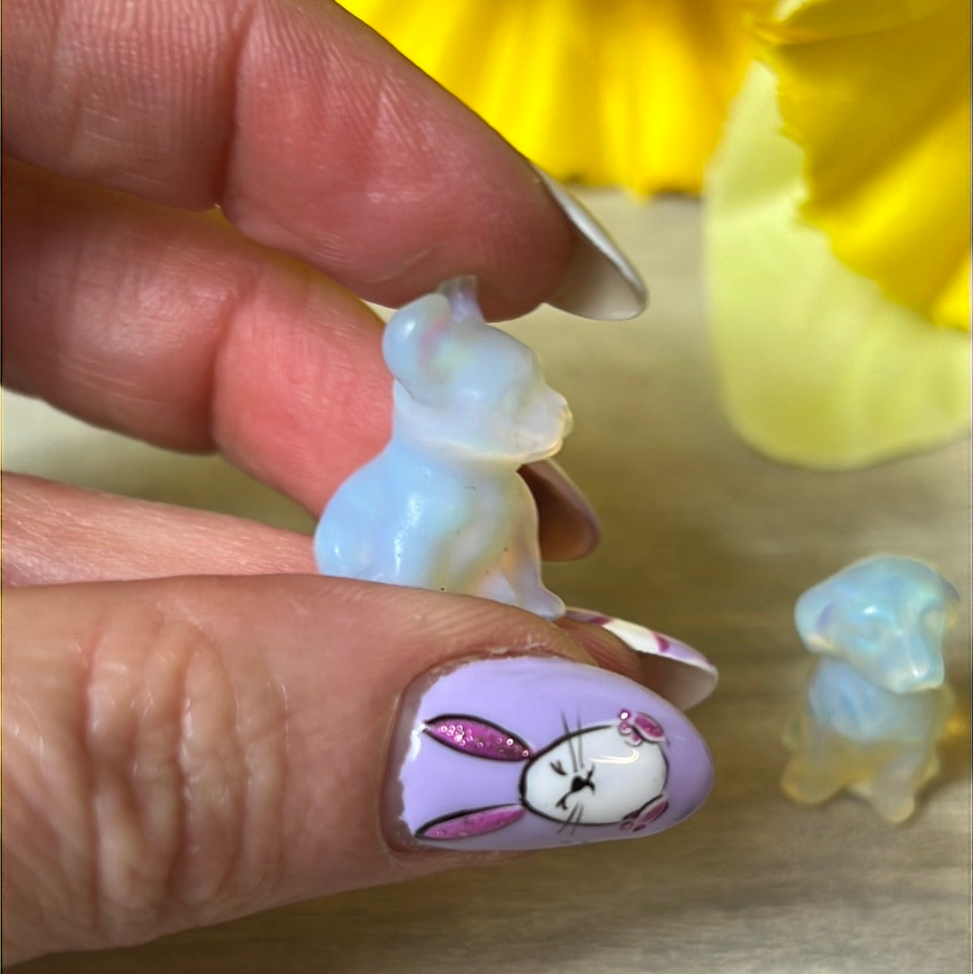 Mini Opalite dog / pug