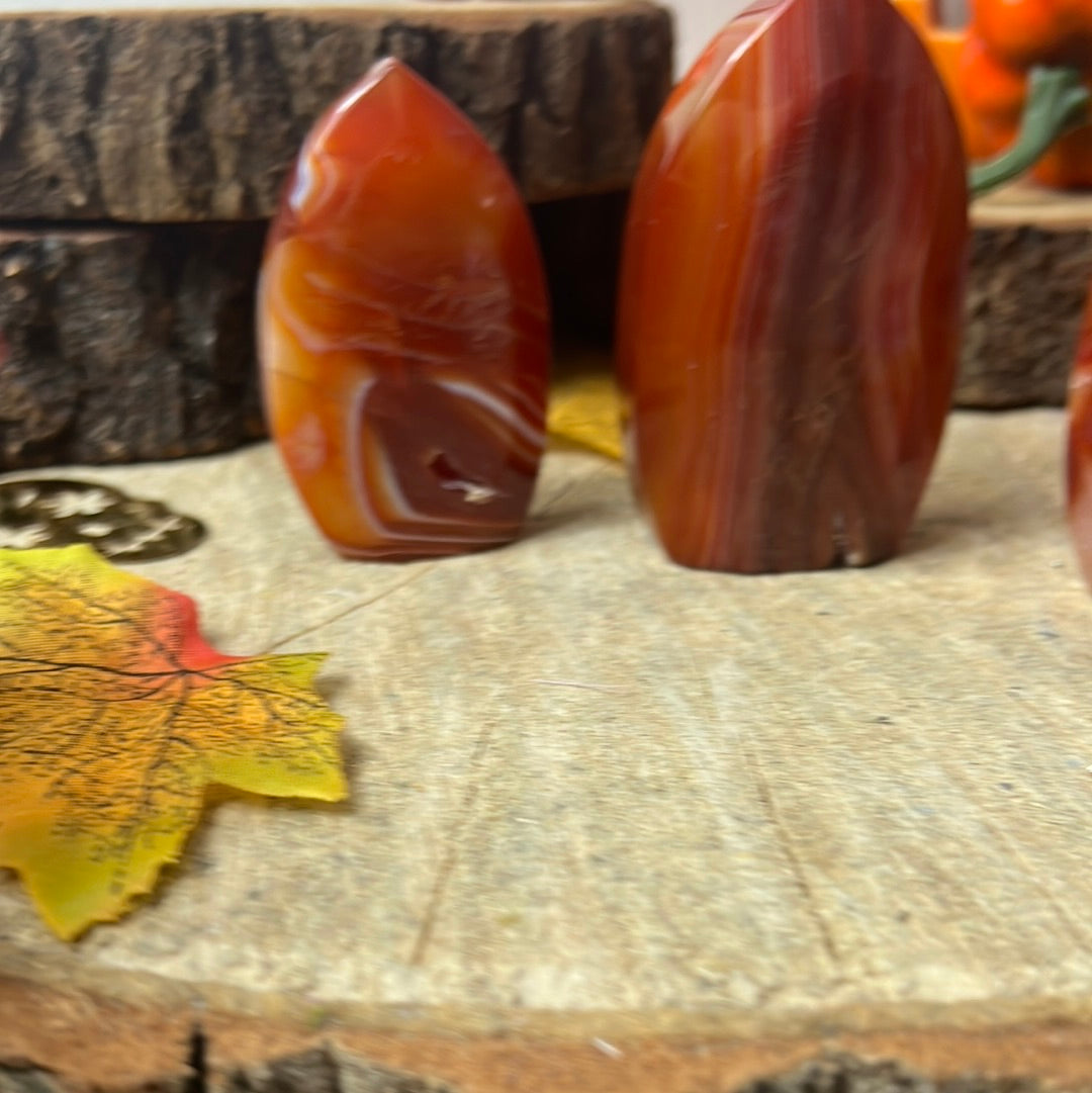 Banded Carnelian Freeform