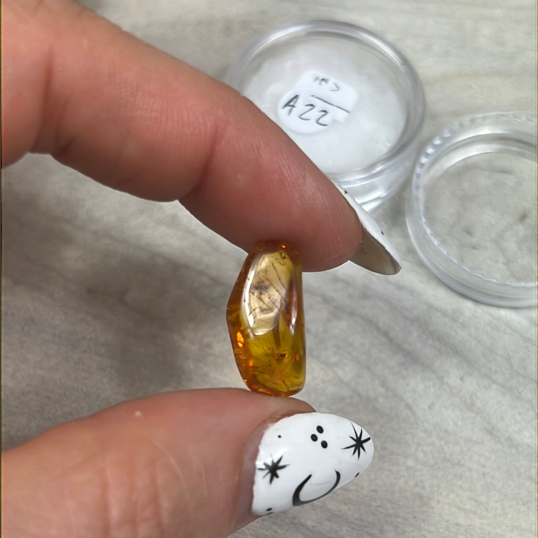 Amber Insect Specimen