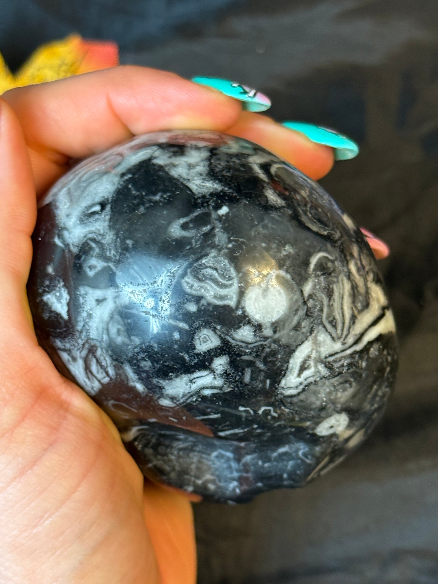 Black Shell Stone Skull