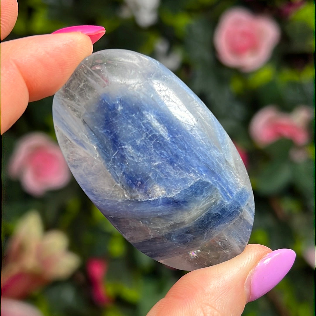 Kyanite in Clear Quartz Palm - rare find