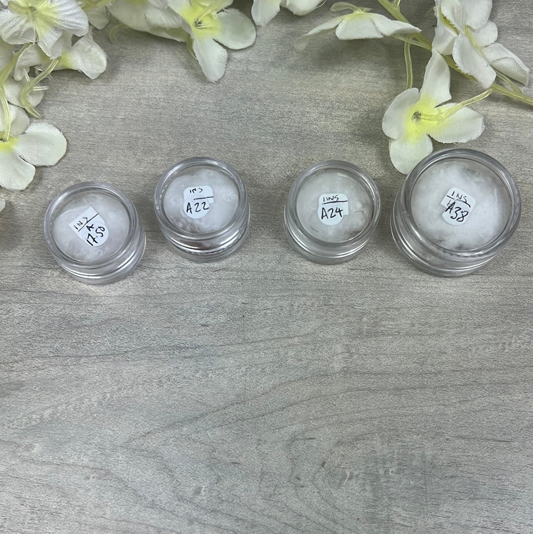 Amber Insect Specimen