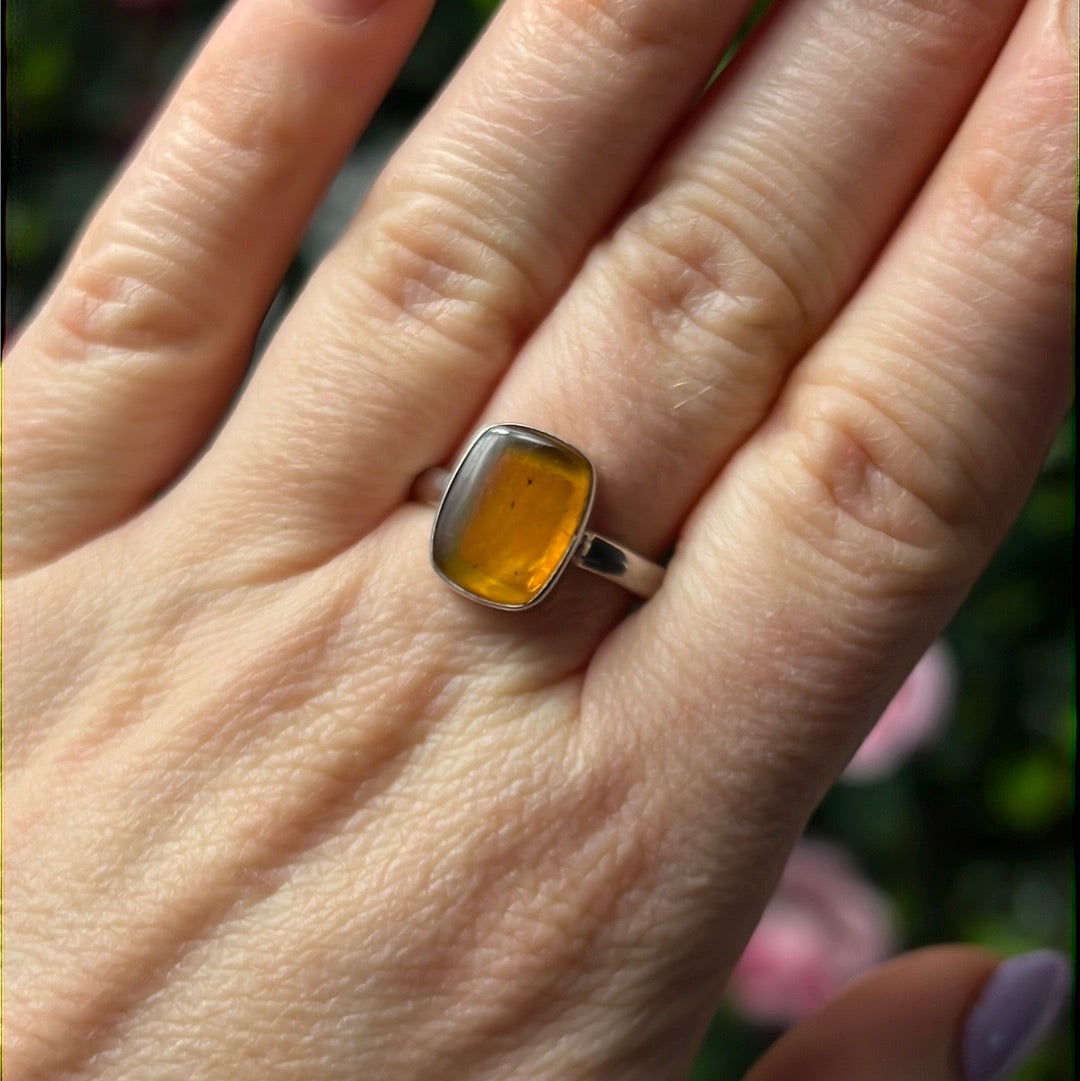 Amber 925 Sterling Silver Ring -  Size S