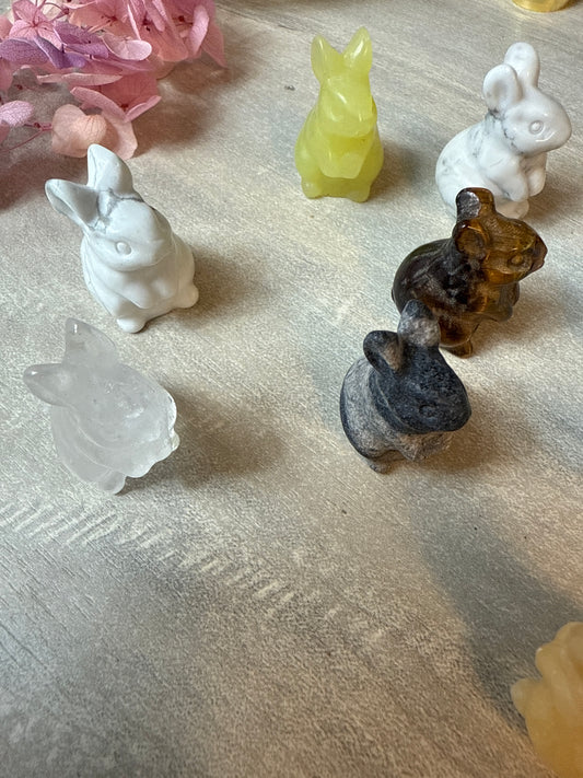 Sitting Rabbit Hare Bunny