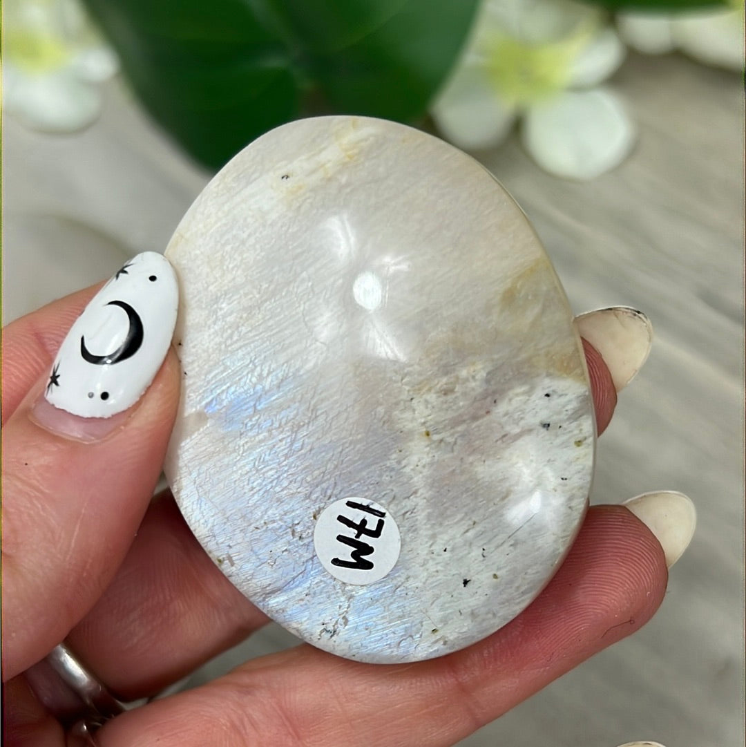 Moonstone Palm - AA Grade