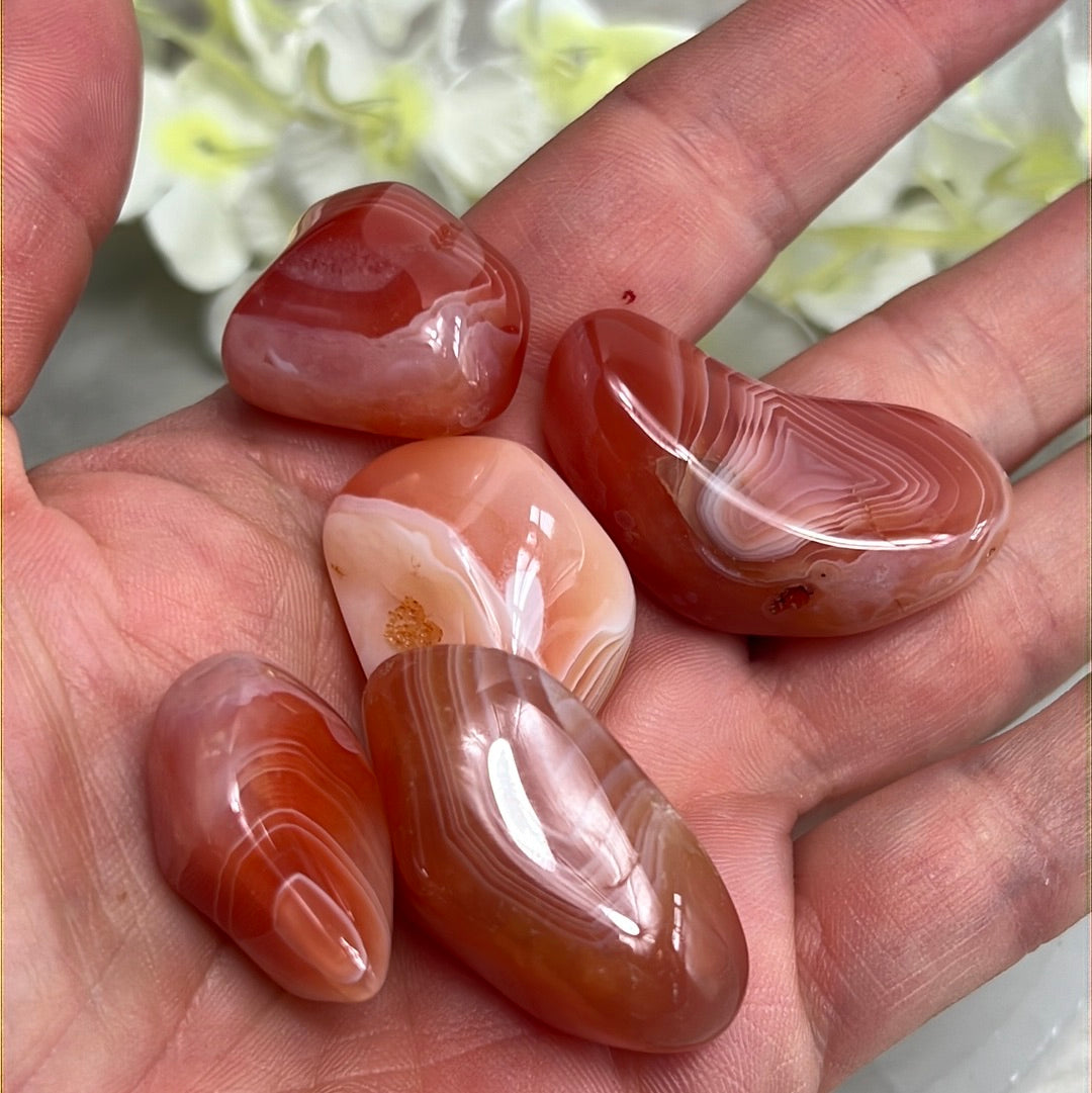 Banded Carnelian Tumble Tumblestone