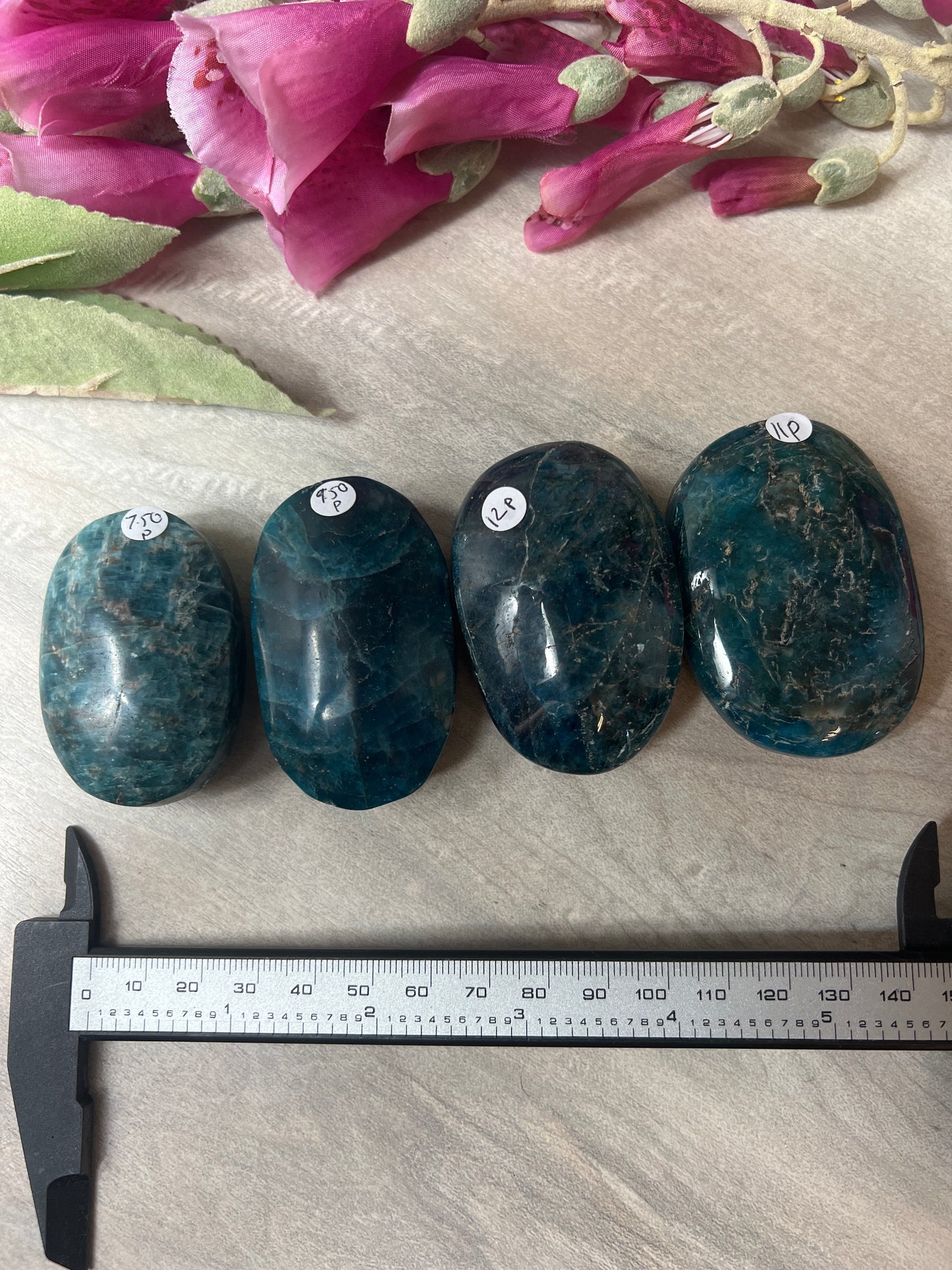 Apatite Palm