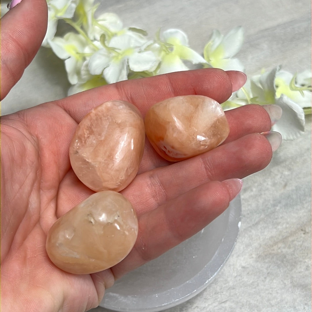 XL Stillbite Tumble Tumblestone