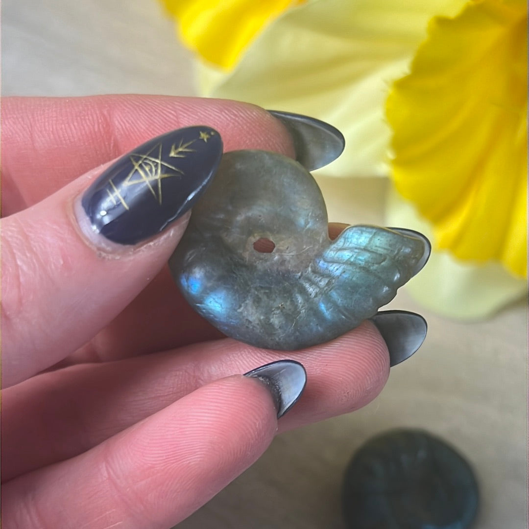 Lab Labradorite Sea Shell