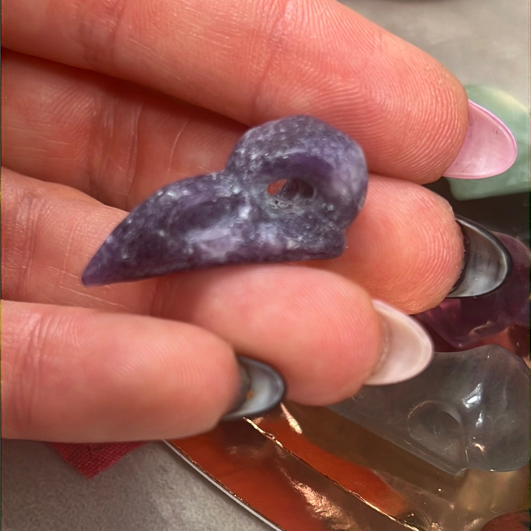 Mystery Baby Skull - Bird Crow Raven