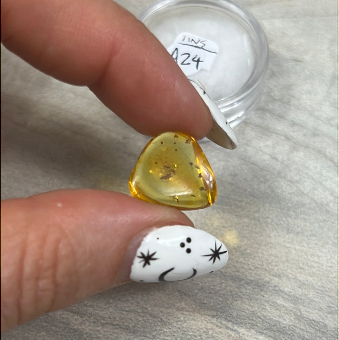 Amber Insect Specimen