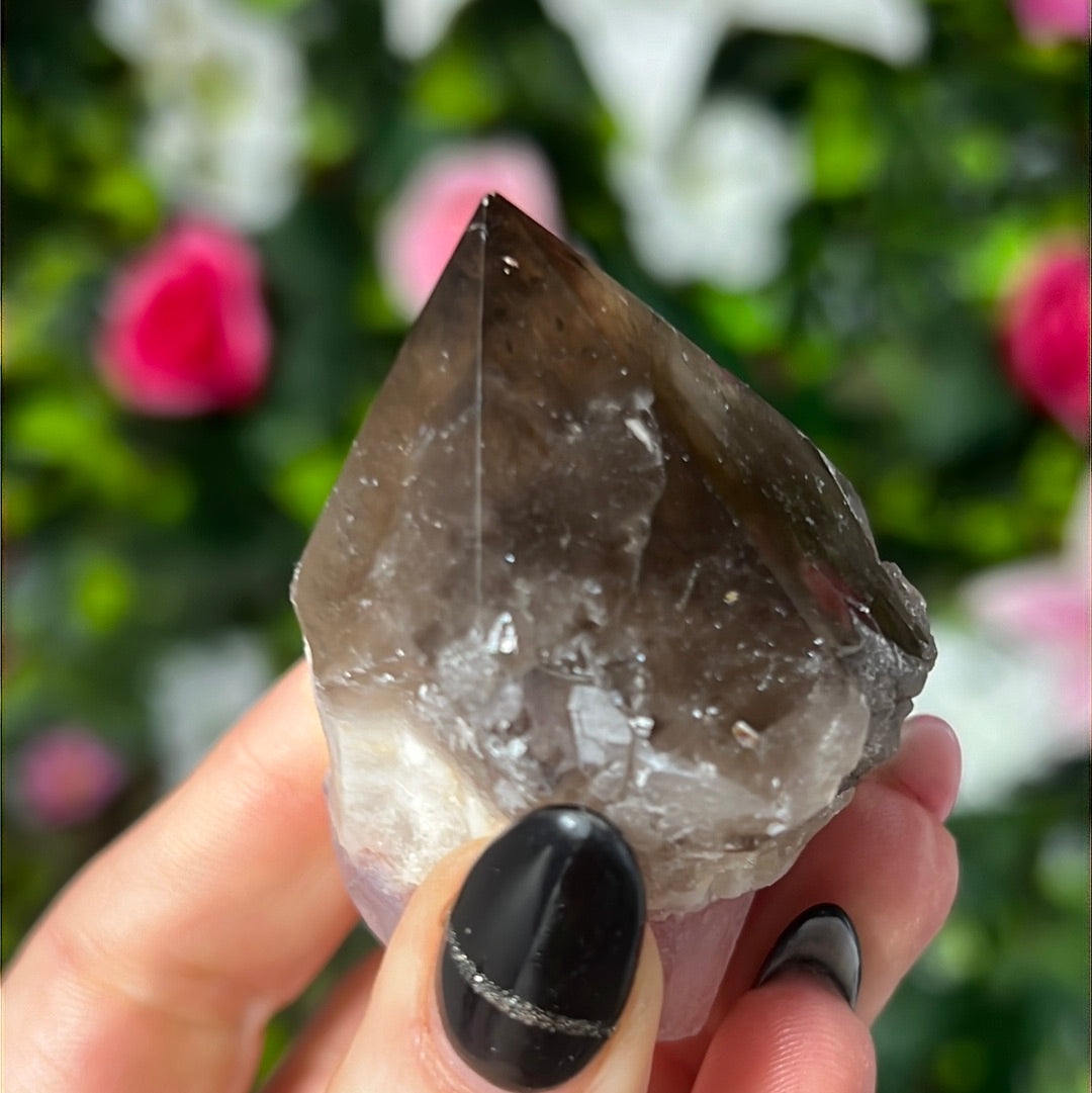 Root of Transformation